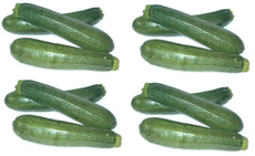 Zucchini-4x3.jpg